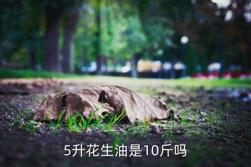 5升花生油是10斤吗