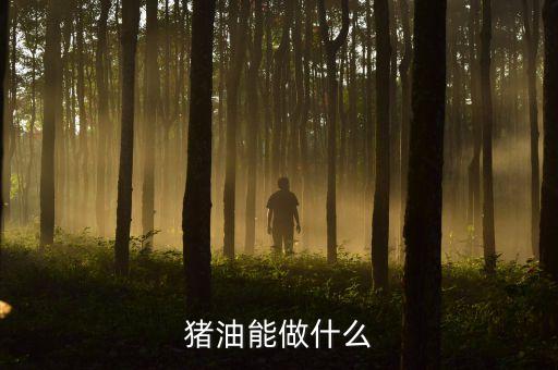 猪油能做什么