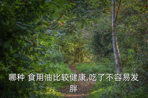 哪种 食用油比较健康,吃了不容易发胖