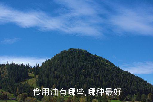  食用油有哪些,哪种最好
