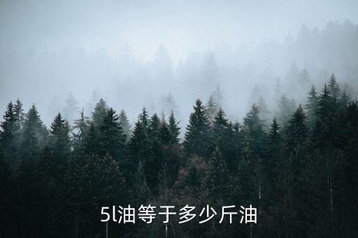 5l油等于多少斤油