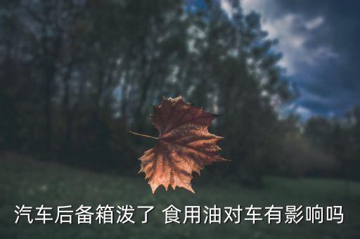 汽车后备箱泼了 食用油对车有影响吗