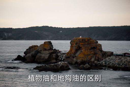 植物油和地沟油的区别