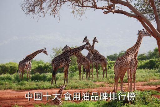 中国十大 食用油品牌排行榜