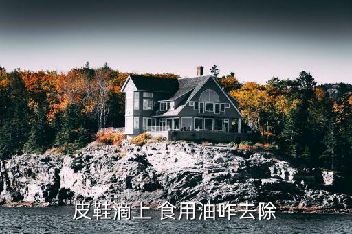 皮鞋滴上 食用油咋去除