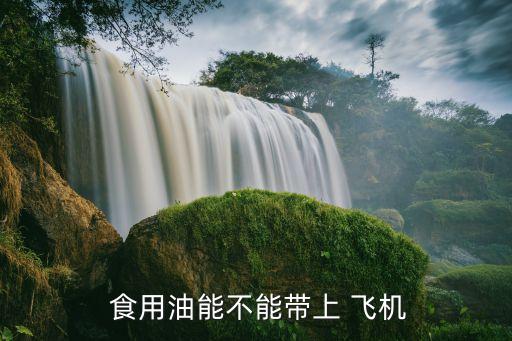  食用油能不能带上 飞机