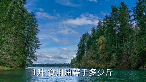 1升 食用油等于多少斤