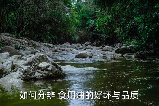 如何分辨 食用油的好坏与品质