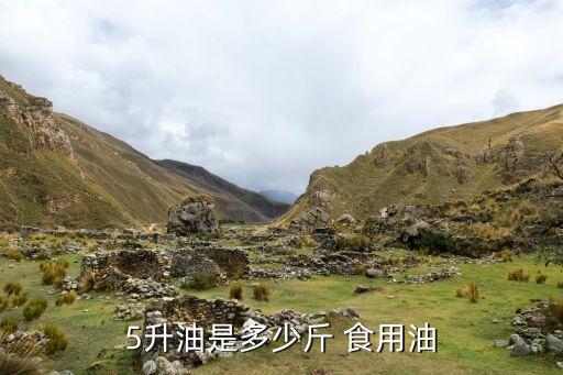 5升油是多少斤 食用油