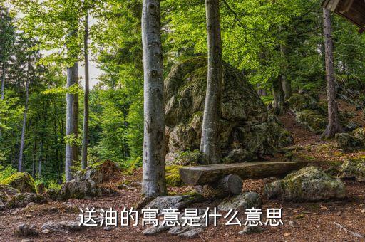 送食用油有什么不好,送人食用油意味什么