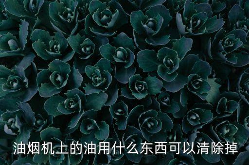  油烟机上的油用什么东西可以清除掉