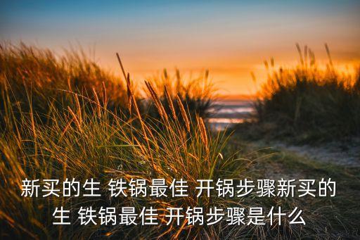 新买的生 铁锅最佳 开锅步骤新买的生 铁锅最佳 开锅步骤是什么