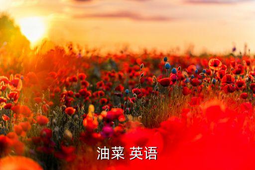 油菜 英语