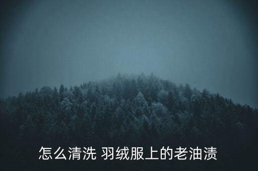 羽绒服用什么食用油,食用油弄到羽绒服上怎么办