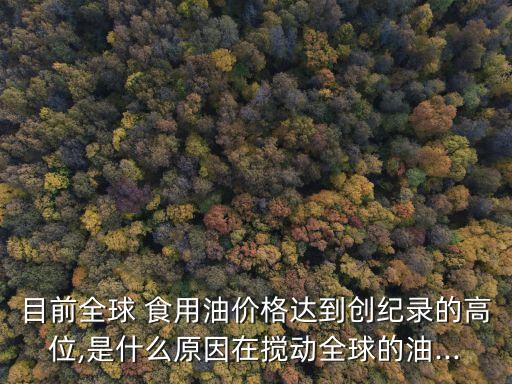 世界顶级食用油多少钱