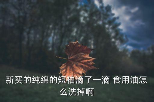 新买的纯绵的短袖滴了一滴 食用油怎么洗掉啊