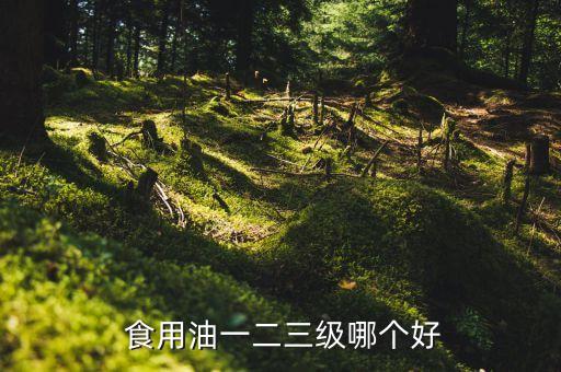  食用油一二三级哪个好