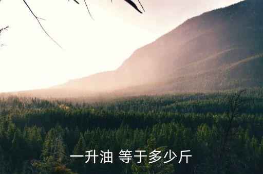 一升油 等于多少斤