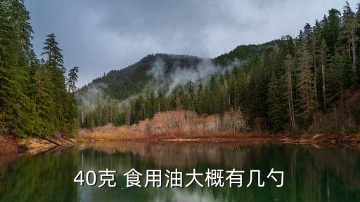 40克 食用油大概有几勺