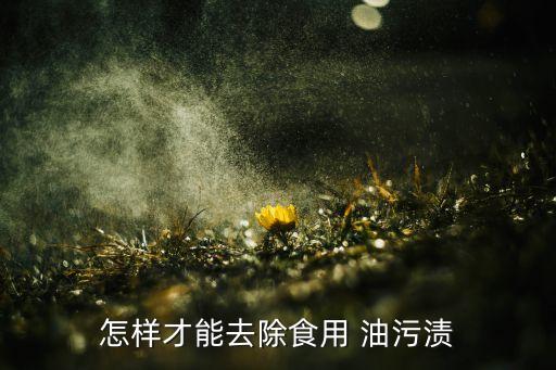怎样才能去除食用 油污渍