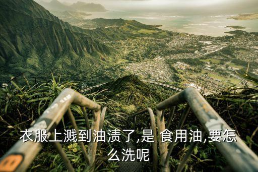 衣服上溅到油渍了,是 食用油,要怎么洗呢