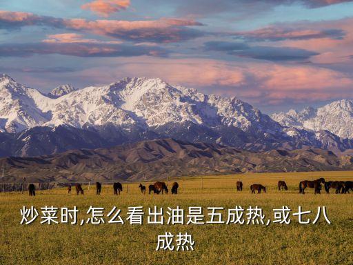 炒菜时,怎么看出油是五成热,或七八成热