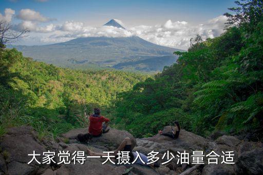 大家觉得一天摄入多少油量合适
