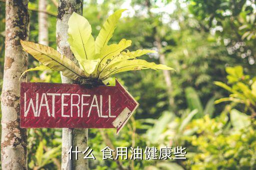 什么 食用油健康些
