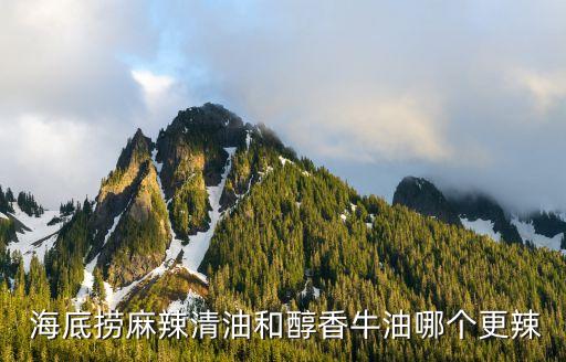  海底捞麻辣清油和醇香牛油哪个更辣