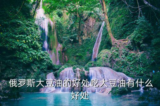  俄罗斯大豆油的好处吃大豆油有什么好处