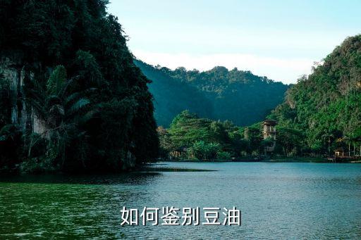 如何鉴别豆油