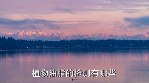 植物油脂的检测有哪些