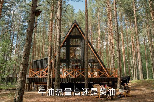 牛油热量高还是菜油