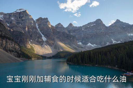 宝宝刚刚加辅食的时候适合吃什么油