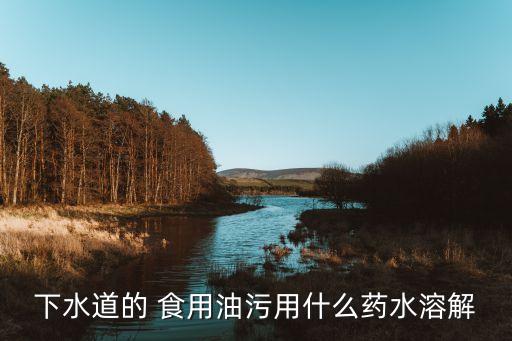 下水道的 食用油污用什么药水溶解