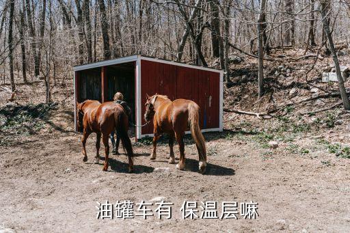 食用油罐冬季怎么保温,保温食用油罐的好处