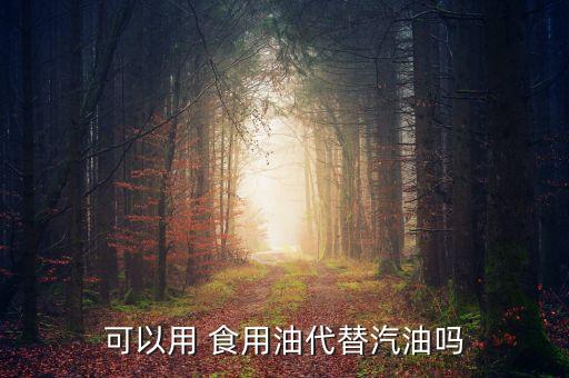 可以用 食用油代替汽油吗