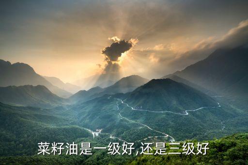 菜籽油是一级好,还是三级好