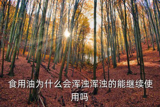  食用油为什么会浑浊浑浊的能继续使用吗