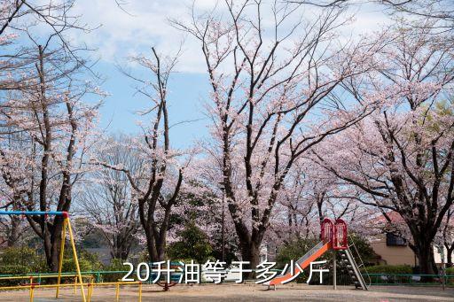 20升油等于多少斤