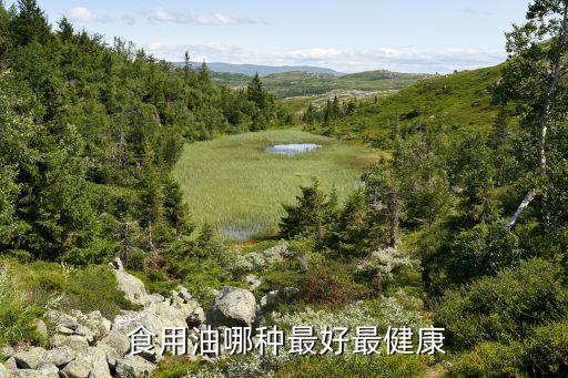 最好的食用油是什么,食用油哪个牌子好食用油排行榜