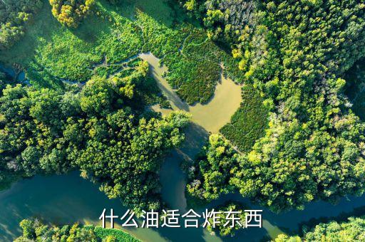 什么油适合炸东西