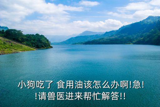  小狗吃了 食用油该怎么办啊!急!!请兽医进来帮忙解答!!