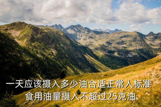 一天应该摄入多少油合适正常人标准 食用油量摄入不超过25克油