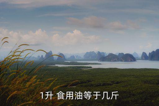 1升 食用油等于几斤
