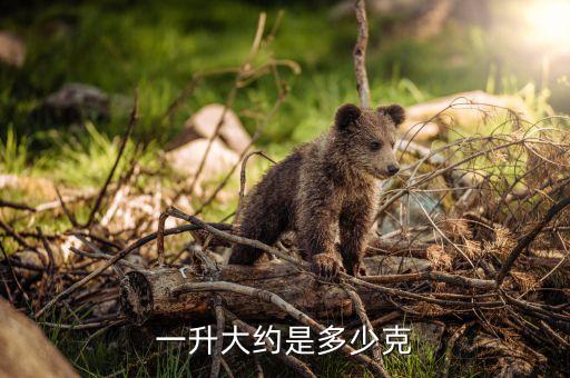一升大约是多少克