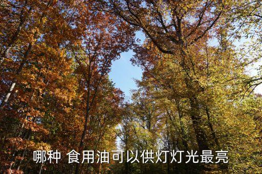 哪种 食用油可以供灯灯光最亮
