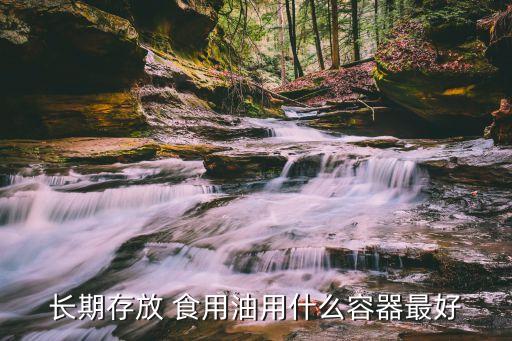 长期存放 食用油用什么容器最好