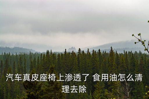 汽车真皮座椅上渗透了 食用油怎么清理去除
