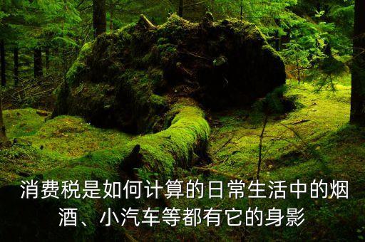  消费税是如何计算的日常生活中的烟酒、小汽车等都有它的身影